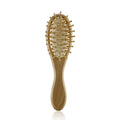 portable bath brush